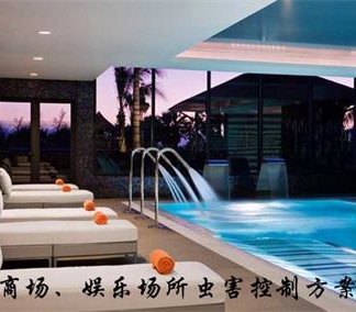 娱乐场所灭鼠解决方案